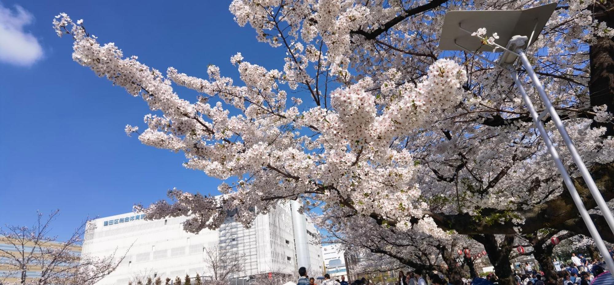 Apartmán 明月楼三零二 Prefektura Tokio Exteriér fotografie